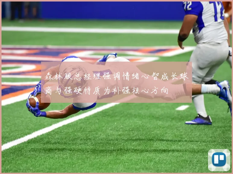 森林狼总经理强调情绪心智成长球商与强硬特质为补强核心方向
